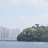 梅溪湖畔，中西盛宴——长沙市19号中西餐厅