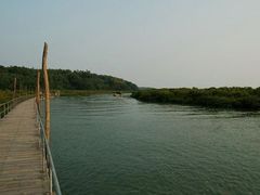 -北海金海湾红树林生态旅游区