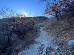 -北京西山国家森林公园