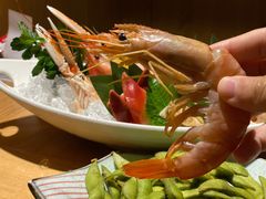 -松岛日本料理(汾江路店)
