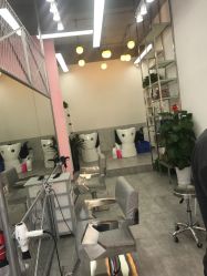 点击看大图 -YDO SALON