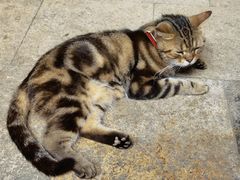 -老屋咖啡