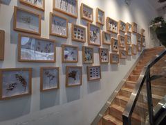 -植物学家的女儿(北马道巷店)