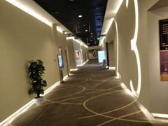 -嘉华国际影城(学清路店)