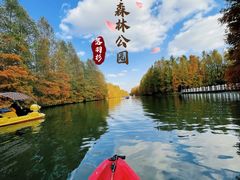 -上海海湾国家森林公园