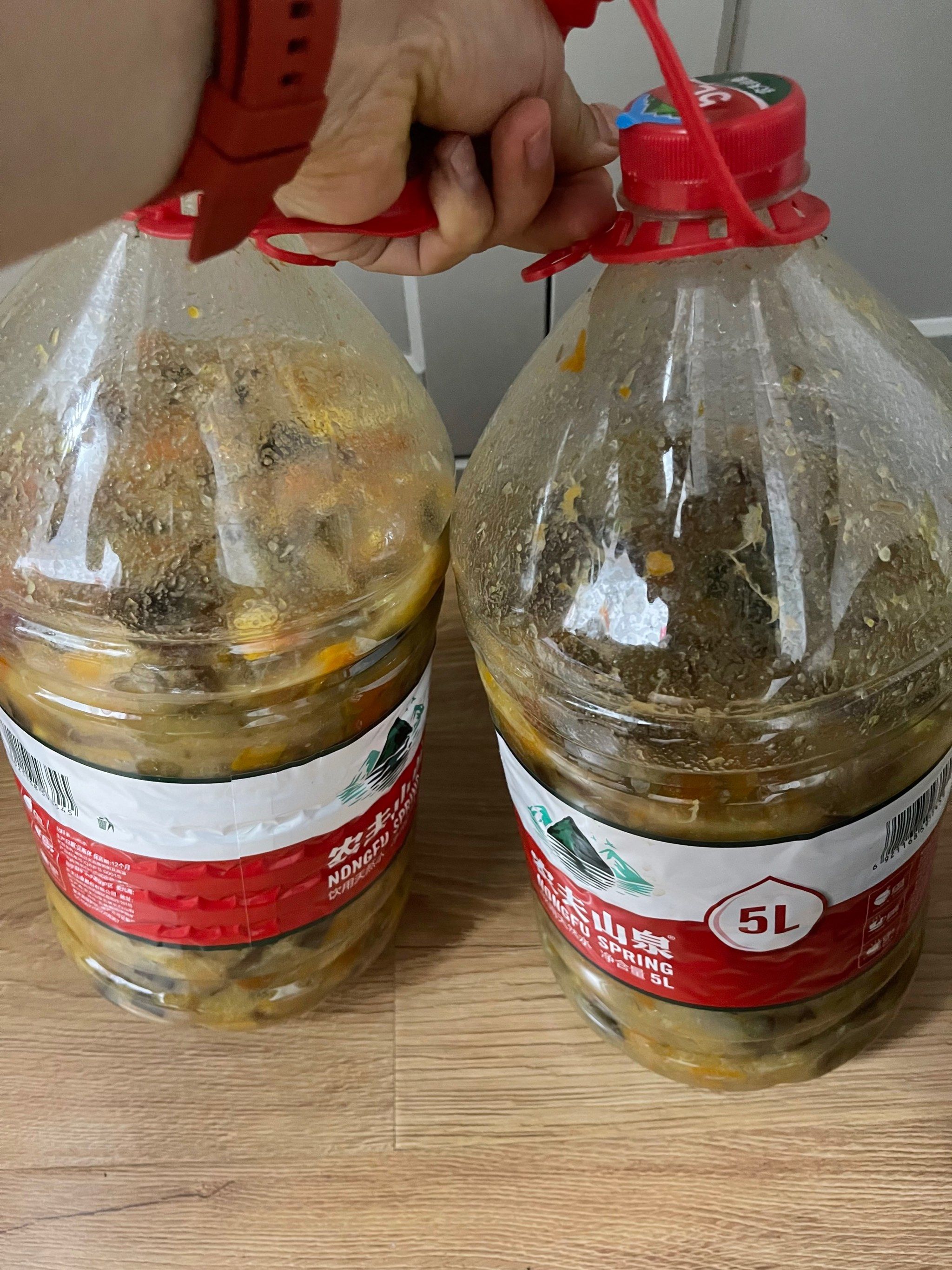 环保酵素做起来