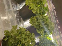 -九田家黑牛烤肉料理(衡百国际店)