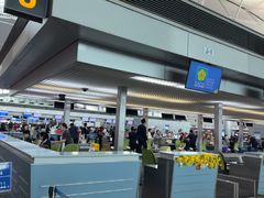 -胡志明新山一国际机场