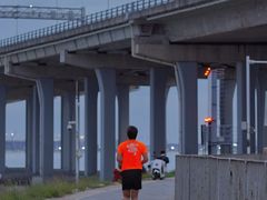 -宝安西湾红树林湿地公园
