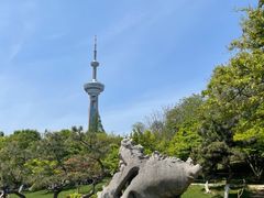 -南京古林公园