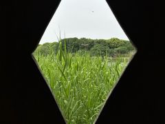 -沙家浜风景区