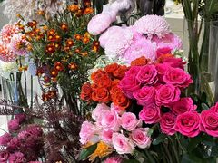 -植物学家的女儿(北马道巷店)