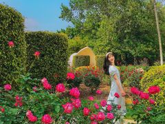 -人民公园(罗湖区)