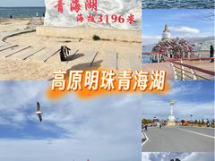 -青海湖国家重点风景名胜区