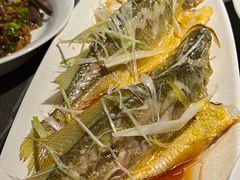 -前海沿·青岛菜(大拇指广场石老人店)