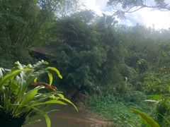 -呀诺达热带雨林