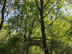 -青龙山国家森林公园