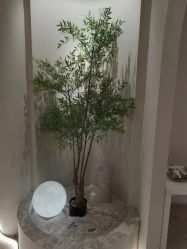 点击看大图 -VE专注问题肌·赛诺龙&科学美肤中心