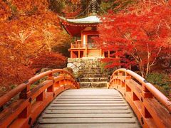 -醍醐寺
