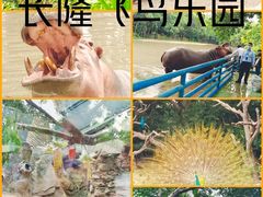 -广州长隆飞鸟乐园