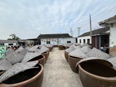 -苏州市吴中区光福窑上花果蜜饯厂