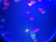 -多彩贵州城极地海洋世界