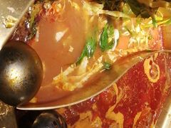 -蜀九香火锅(彩虹店)