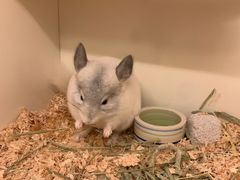 -龙猫仔乐园(惠福东路店)