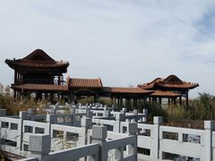 -哈素海
