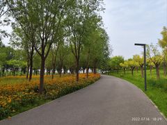 -东郊湿地公园