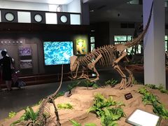 -自贡恐龙博物馆