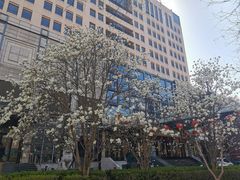 -北京阳铭国际击剑俱乐部