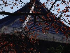 -广州中山纪念堂