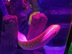 -沈阳海洋探索中心