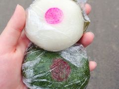 -同里国家湿地公园
