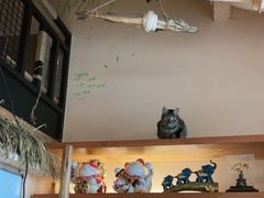 -冰川冷面·延边菜·炭烤串(观前店)