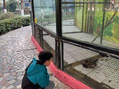 -荆州中山公园动物园