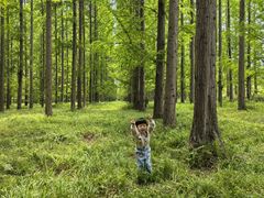 -黄海国家森林公园