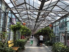 -南宫五洲植物乐园