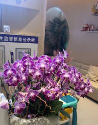 -万阡国际专业祛斑·祛痣·祛疤连锁