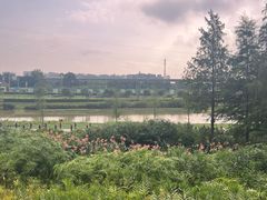 -那考河湿地公园