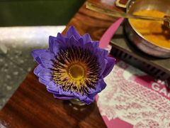 -苏梅花园(群星城店)