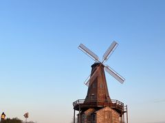 -大塘金香草谷