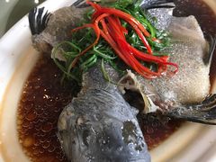 -南庄酒家·海鲜粤菜·25年老字号(环城南路店)