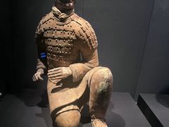 -陕西历史博物馆