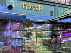 -青石桥花鸟鱼虫市场(叠翠城店)