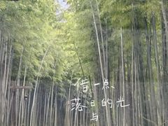 -天目湖涵田度假村