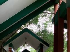 -九龙公园