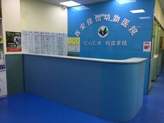 -佳怡动物医院·平价24小时·猫专科骨外科