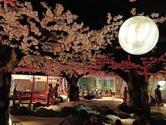 -蓝鲸湾汤泉(包河店)